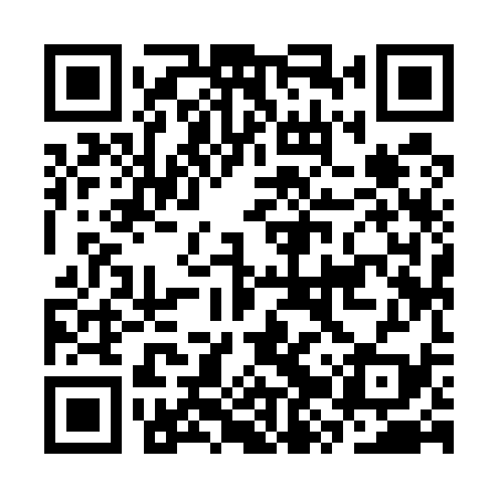 QR code for CZY539