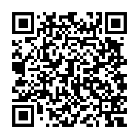 QR code for DAV419