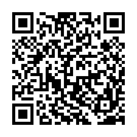 QR code for DDI096