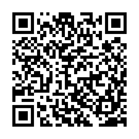 QR code for DDI594
