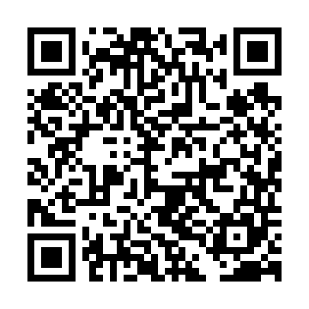 QR code for DDI645