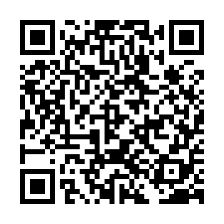 QR code for DFG958