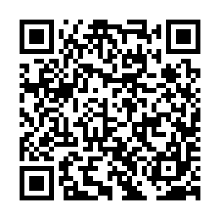 QR code for DGF397