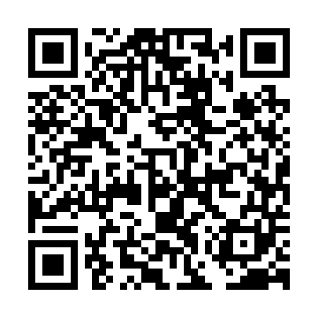 QR code for DGU241