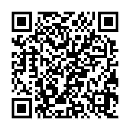 QR code for DIG337