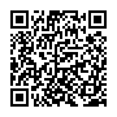 QR code for DIG563