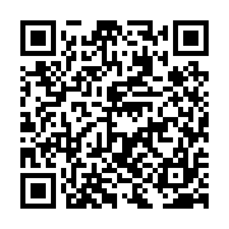 QR code for DIM217