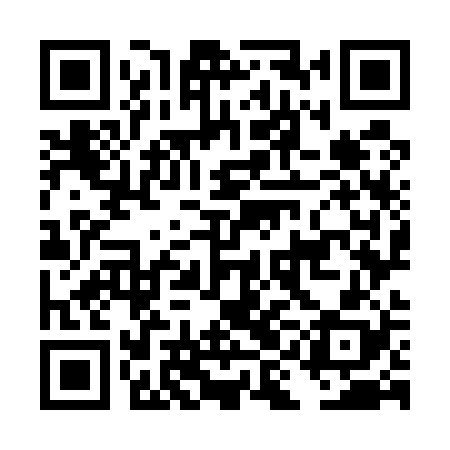 QR code for DIO528