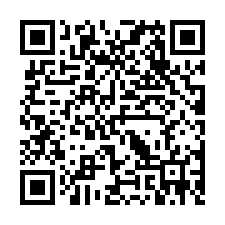 QR code for DIP007
