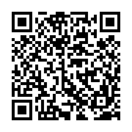 QR code for DJI496