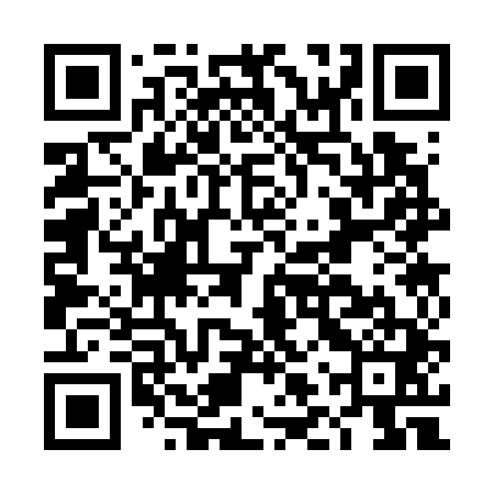 QR code for DLS741