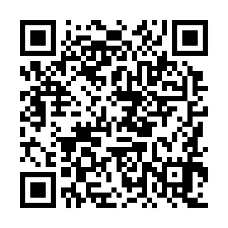QR code for DLX395