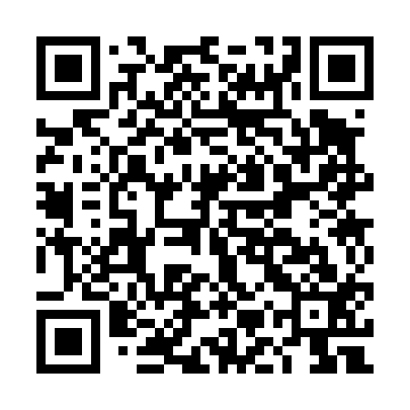 QR code for DMS413