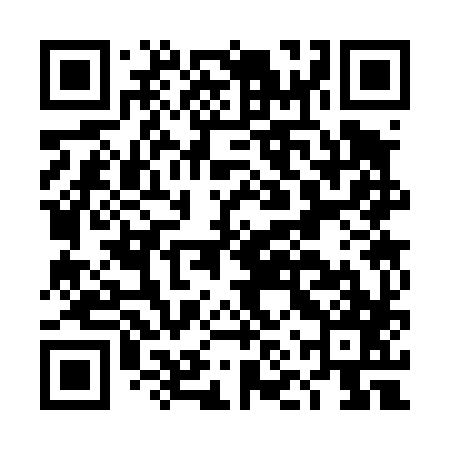 QR code for DNS487