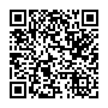 QR code for DNT319