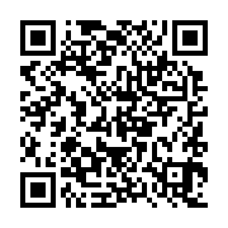QR code for DQD381
