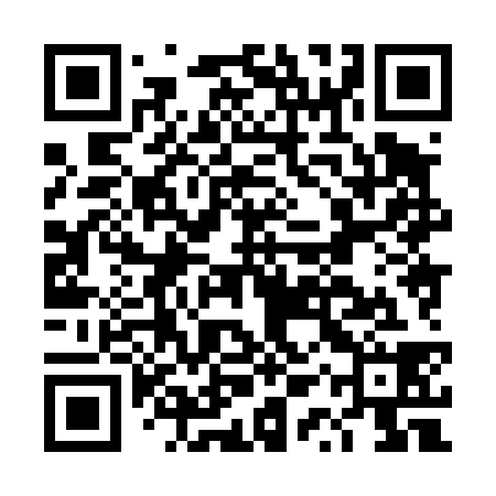 QR code for DQX438