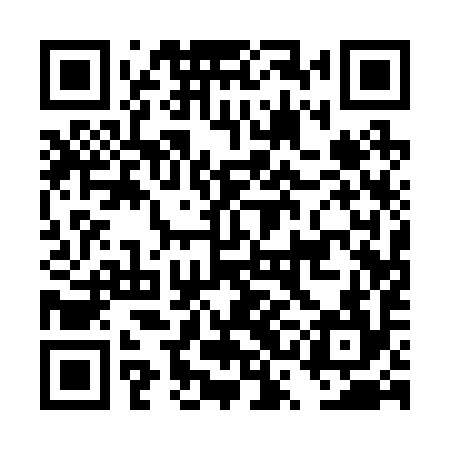 QR code for DSA294