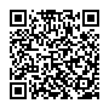QR code for DSB818