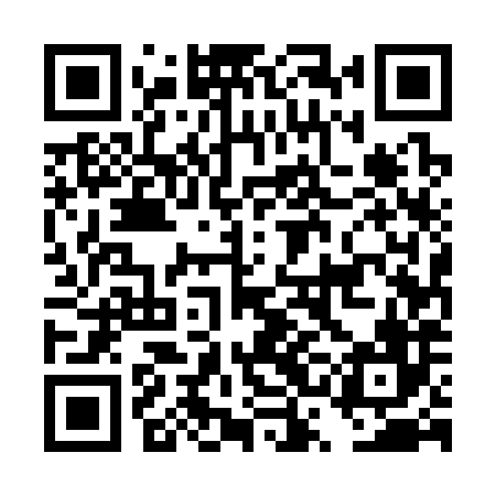 QR code for DSE386