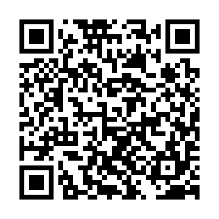 QR code for DSE394