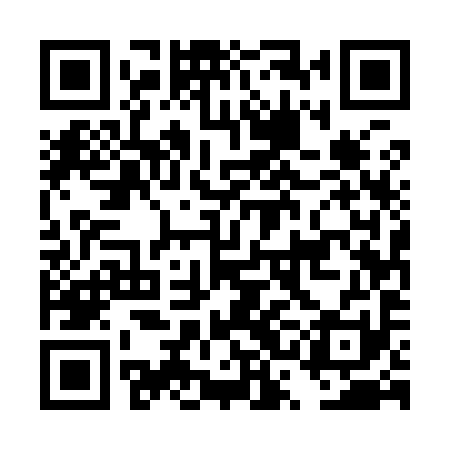QR code for DSE991