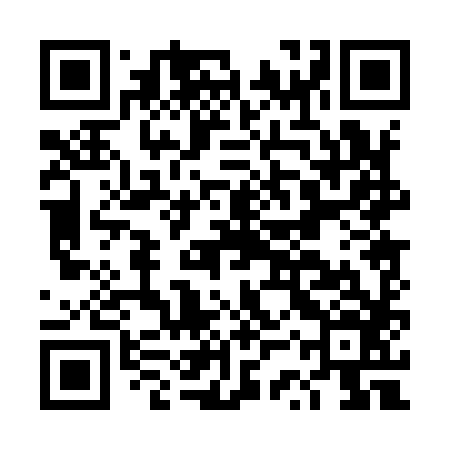 QR code for DSP986