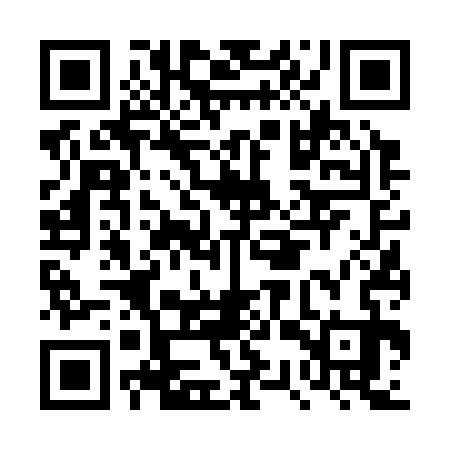 QR code for DSV333