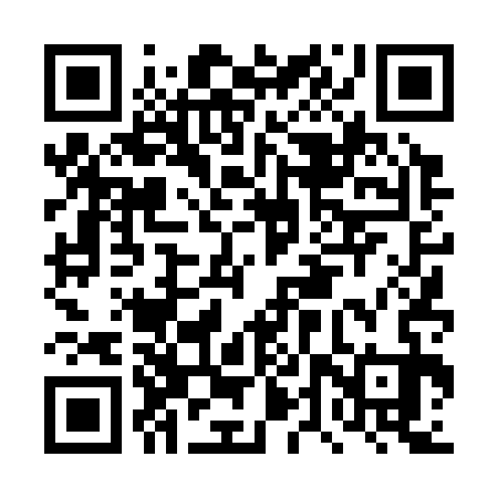 QR code for DTT333