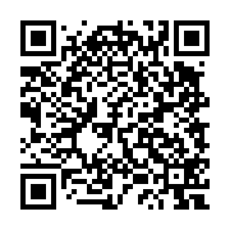 QR code for DUD419