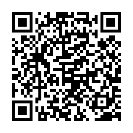 QR code for DUL491