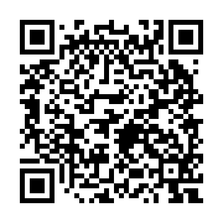 QR code for DUP296