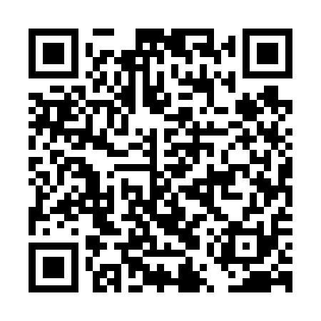 QR code for DUU611