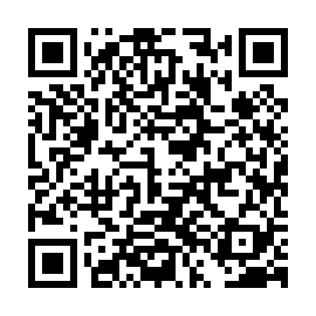 QR code for DVI029