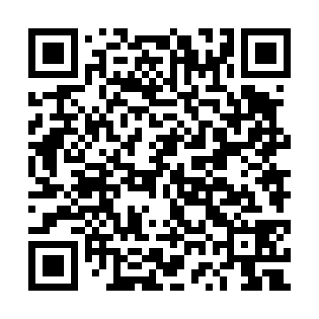 QR code for DWN438