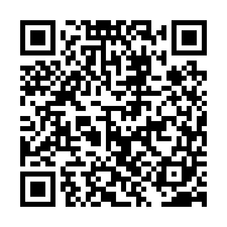 QR code for DYE241