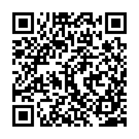 QR code for DYI384