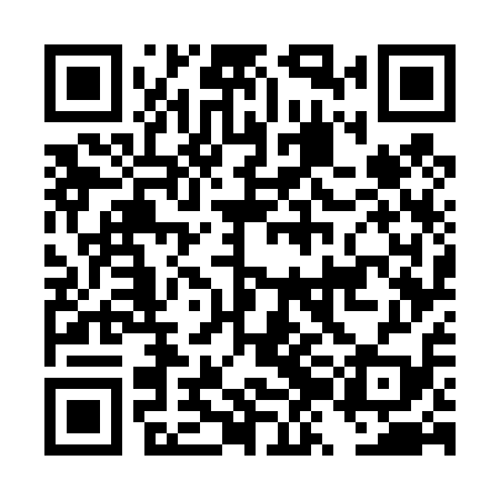 QR code for DZG419