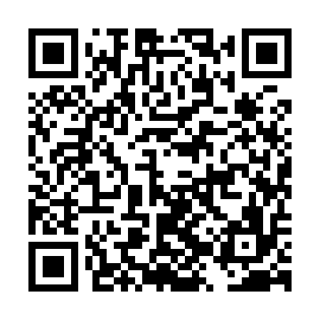 QR code for DZY916
