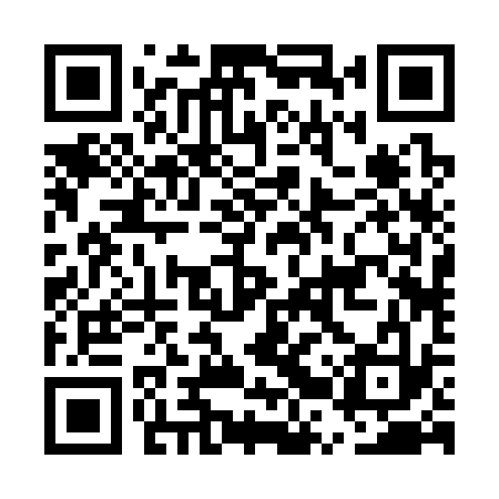 QR code for ERR333