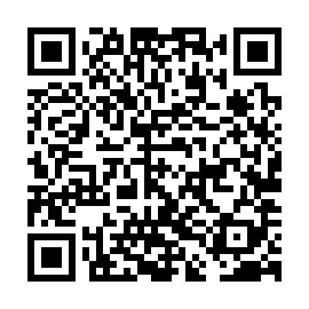 QR code for FDL389