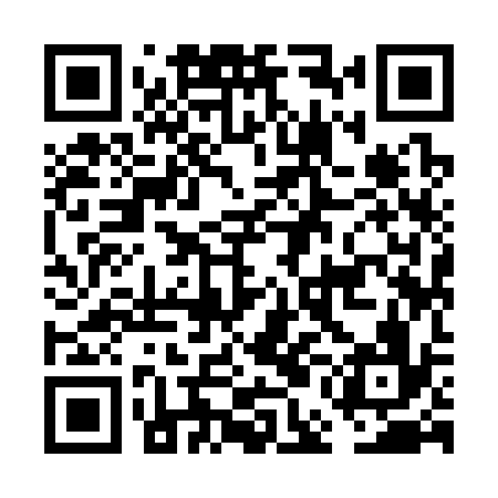 QR code for FEI336