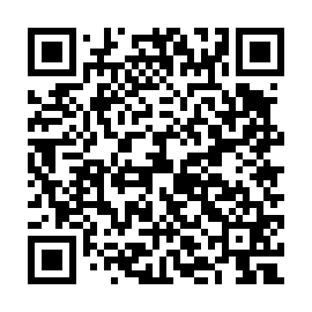 QR code for FLE461