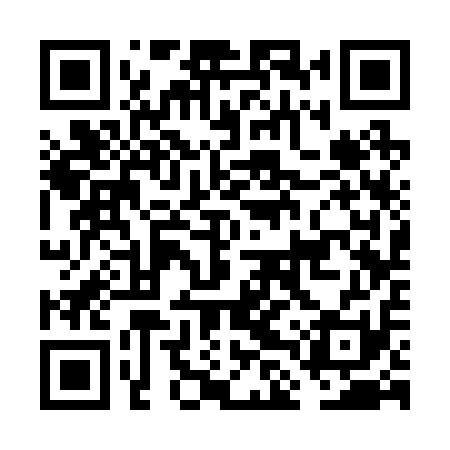 QR code for FLS211