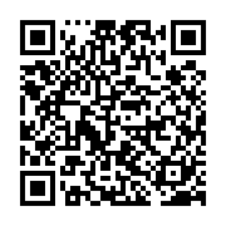 QR code for FLU521