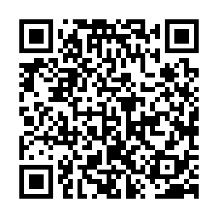 QR code for FSX338