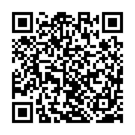QR code for GMH317