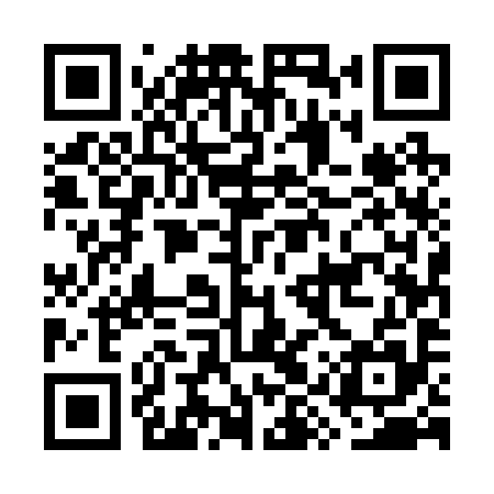 QR code for GYU295