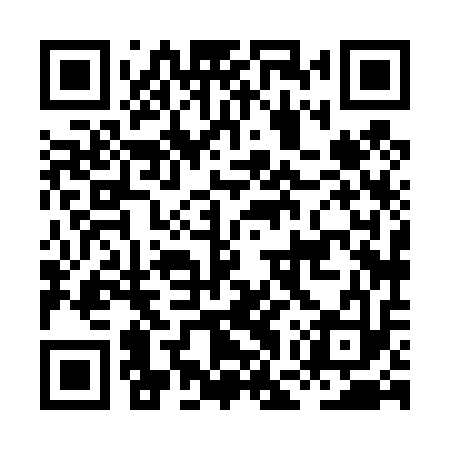 QR code for HGX413