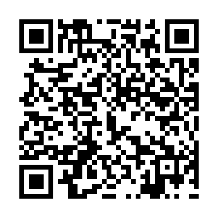 QR code for HJM381